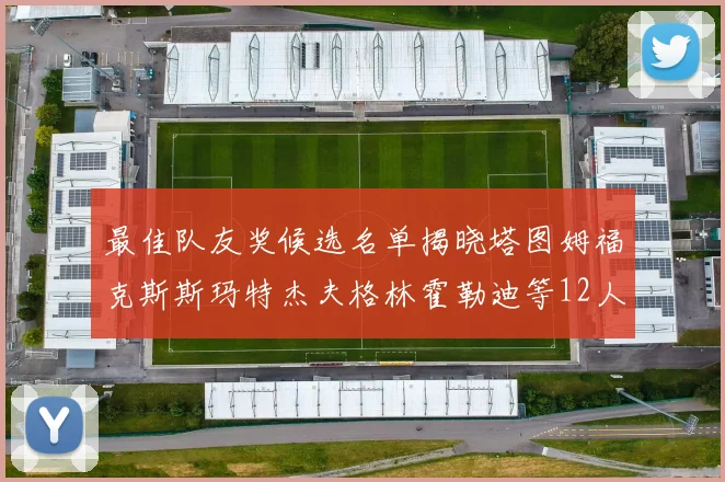 最佳队友奖候选名单揭晓塔图姆福克斯斯玛特杰夫格林霍勒迪等12人争夺荣耀
