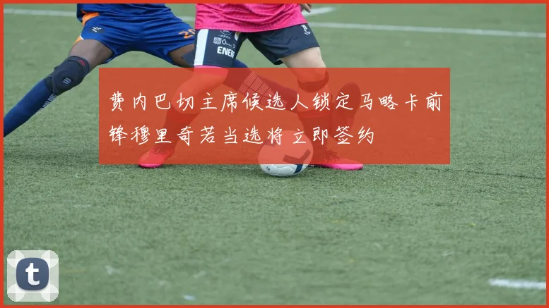 费内巴切主席候选人锁定马略卡前锋穆里奇若当选将立即签约