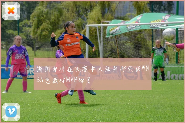 斯图尔特在决赛中大放异彩荣获WNBA总裁杯MVP称号